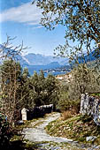 Fra gli Ulivi del Garda. Caratteristica mulattiera selciata accompagnata dallo splendido panorama del lago di Garda.
